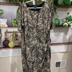 Connected Apparel Black and Cream Sheath Dress Short Sleeve Scoop Neck 24 Ptp